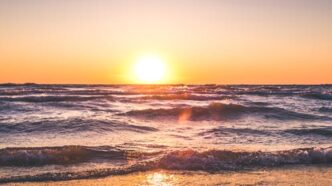 Playa tropical con agua cristalina y palmeras